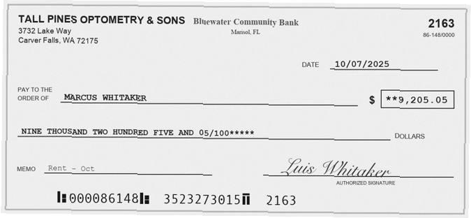 Check 2163, cut out of the statement, with the amount 9,205.05 written on it.