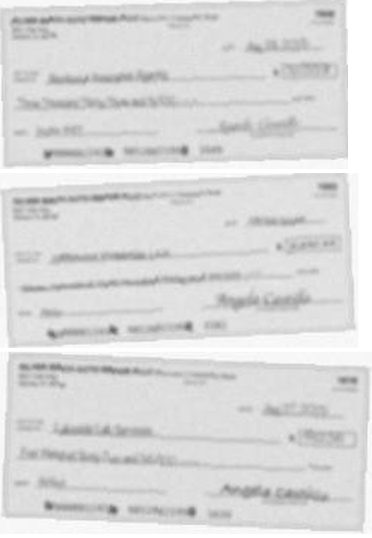 Three check images enlarged three times. The writing on each is a grey blur.